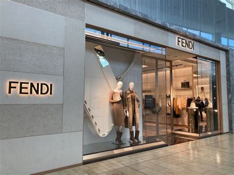 fendi 怎么 样|FENDI .